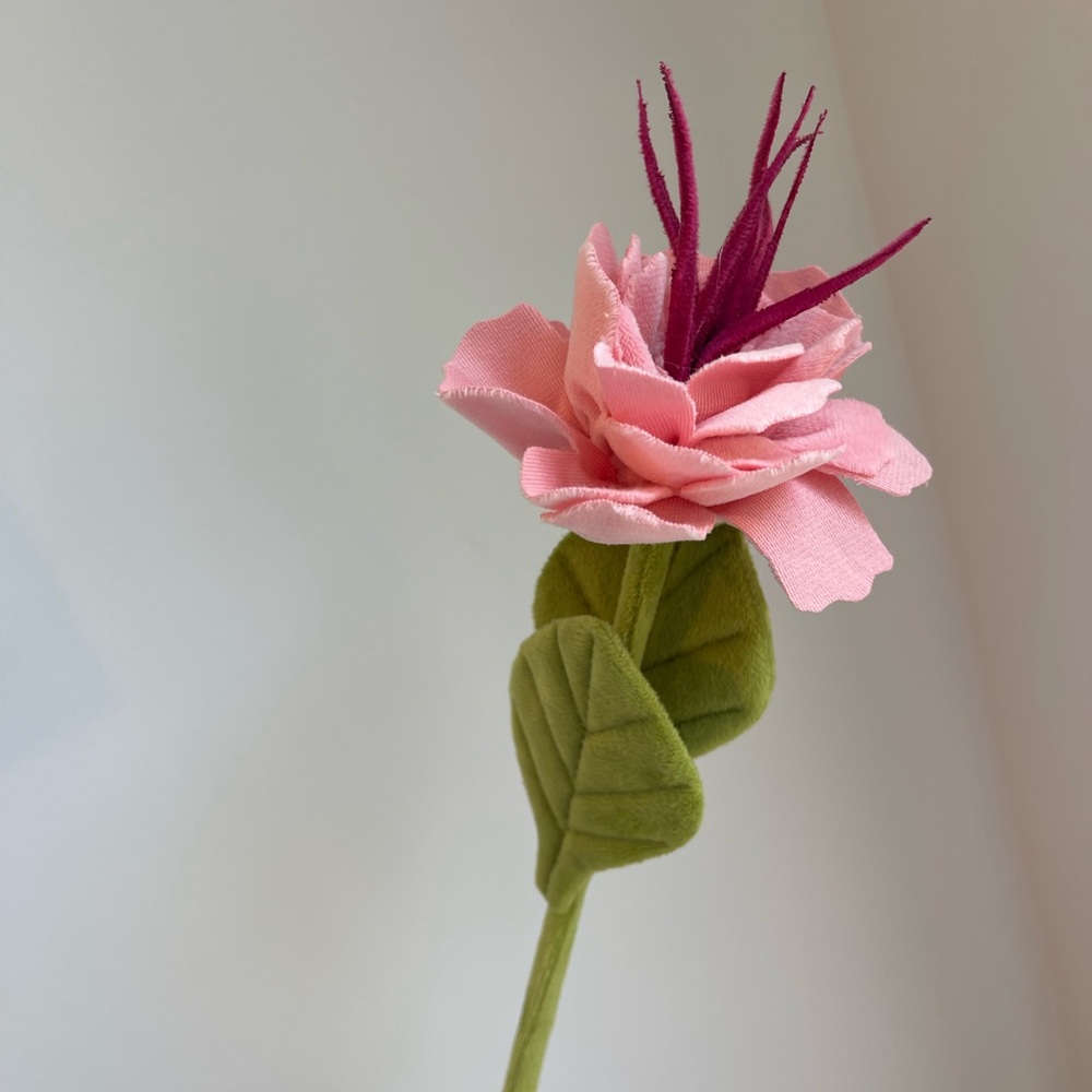 CJ Hendry Flower Shop limited release pink ranunculus bloom